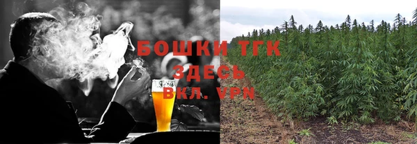 соль ск Алексин